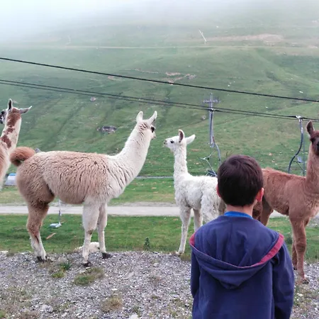 Le Petit Du Tourmalet Pied Des Pistes - *