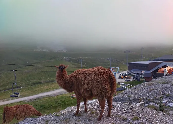 Le Petit Du Tourmalet Pied Des Pistes -