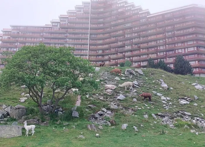 Apartamento Le Petit Du Tourmalet Pied Des Pistes -