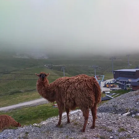 Le Petit Du Tourmalet Pied Des Pistes -